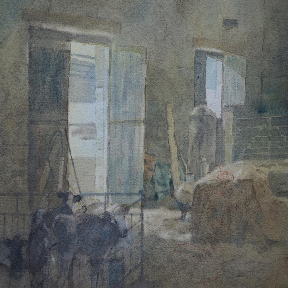 010 - Morning Cattle
