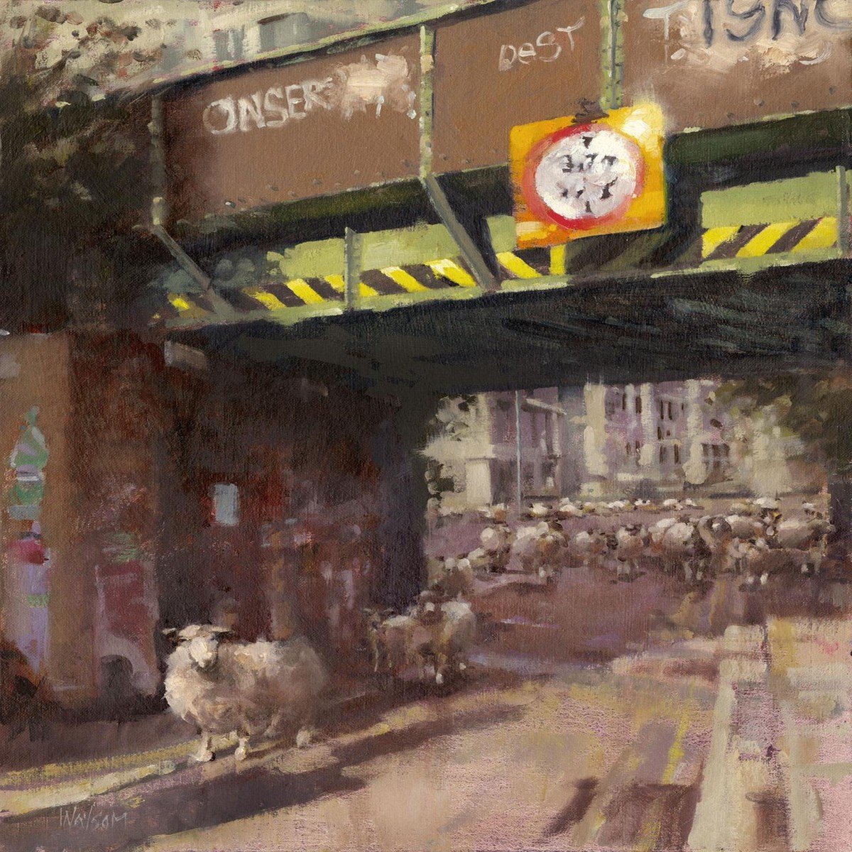 138 - Cheviot Sheep in Kingston