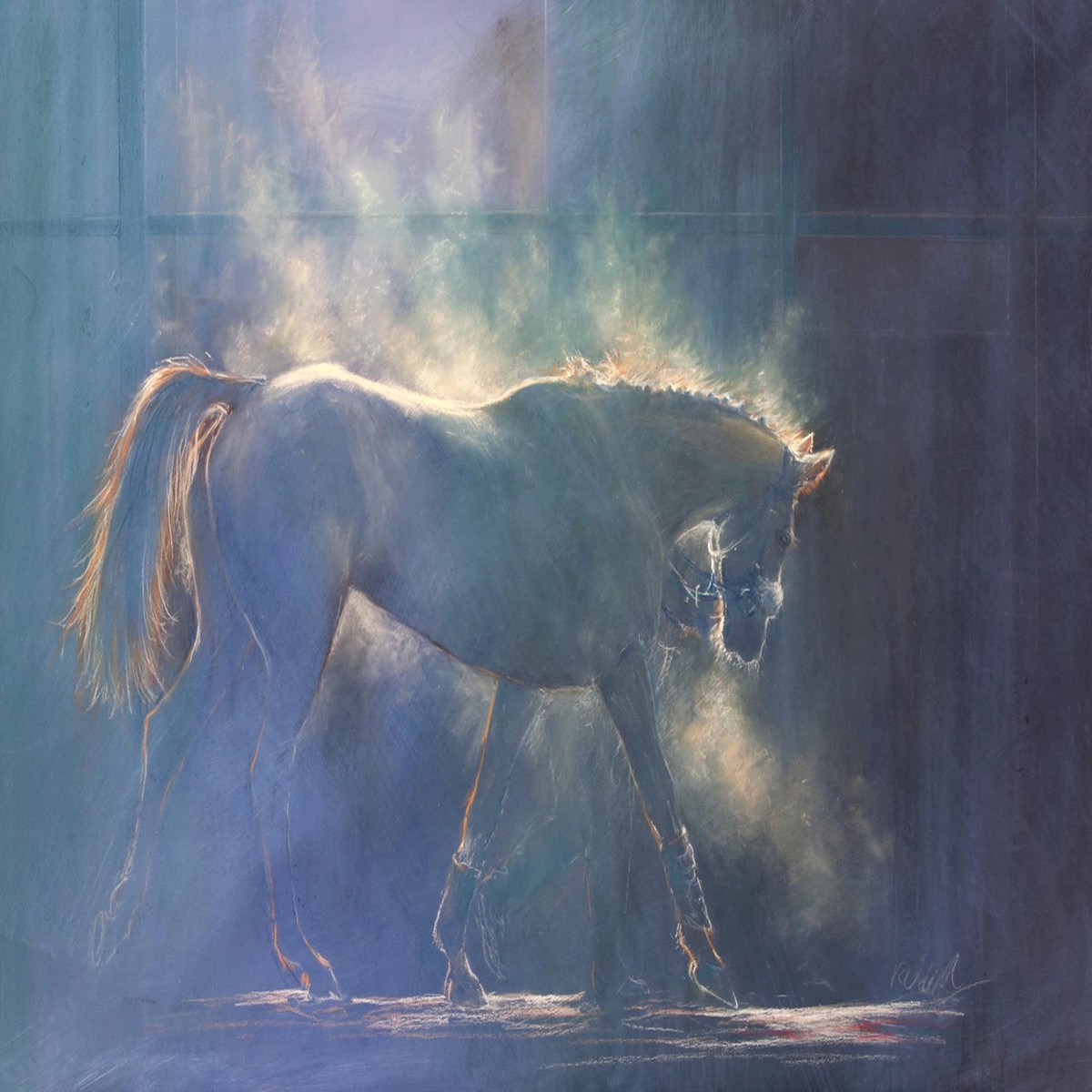 094 - Through the Light