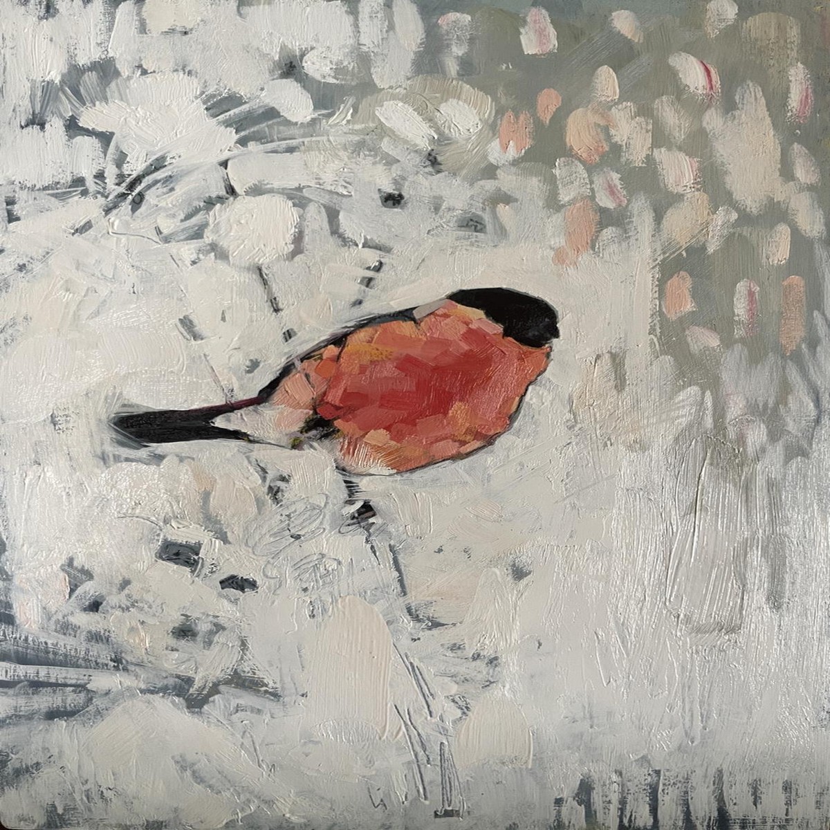 026 - Winter Bullfinch