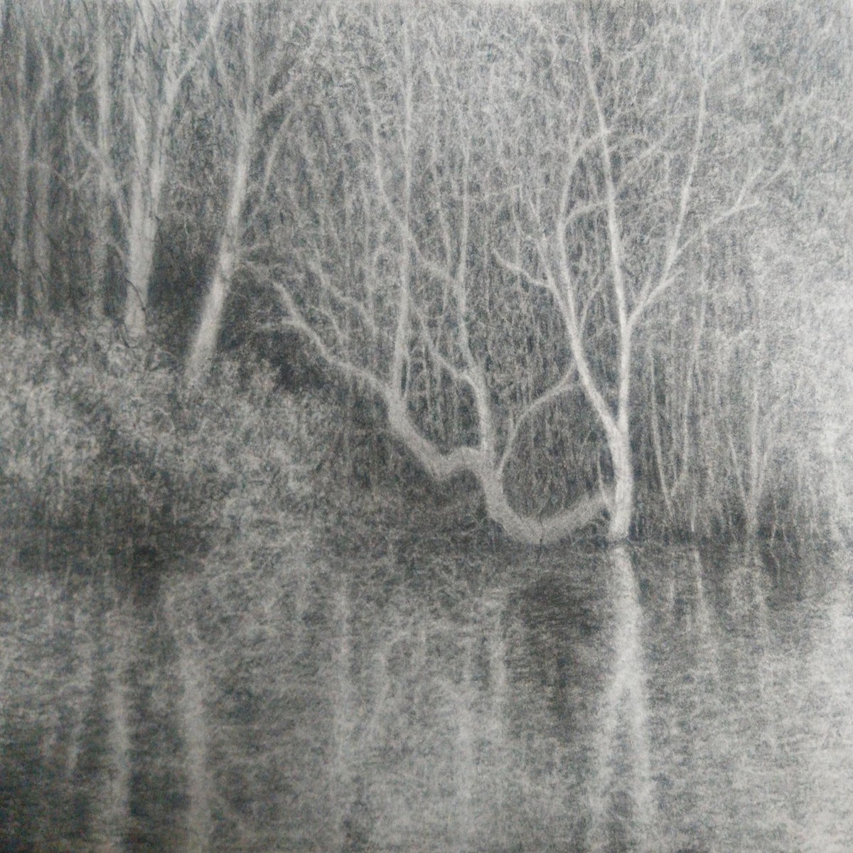 004 - Keston Pond