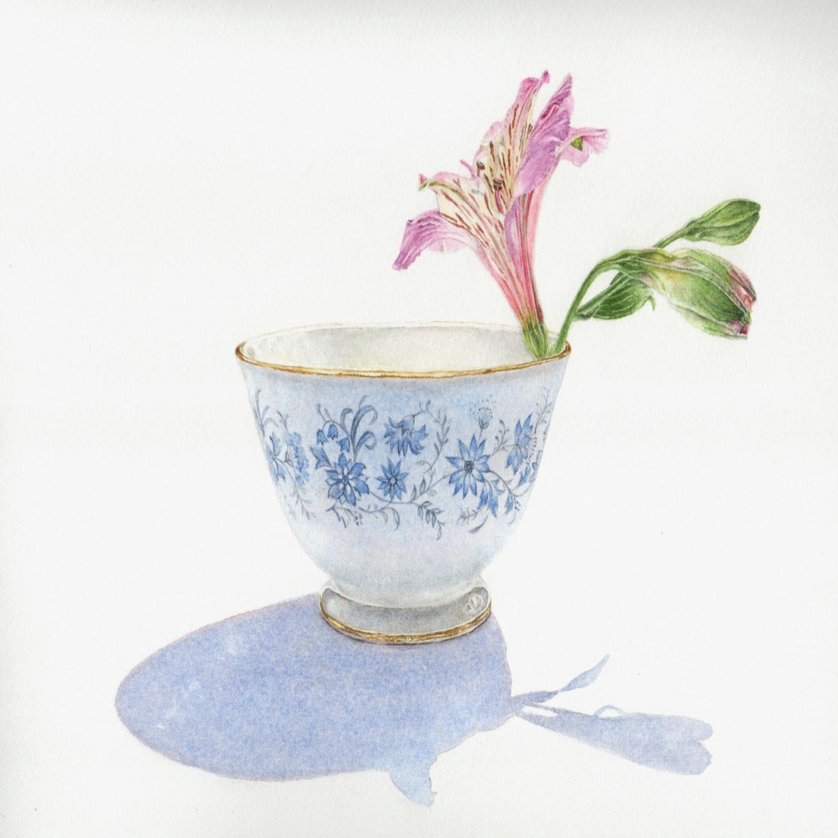 018 - My Royal Doulton with the Hand-painted Periwinkles