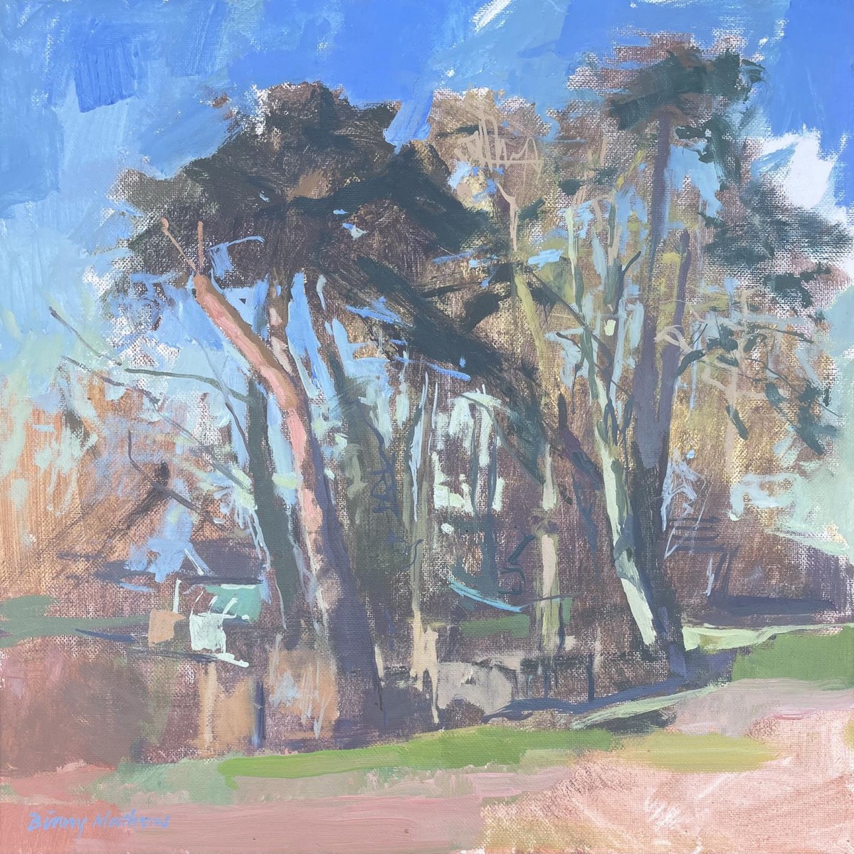 208 - Pinetum