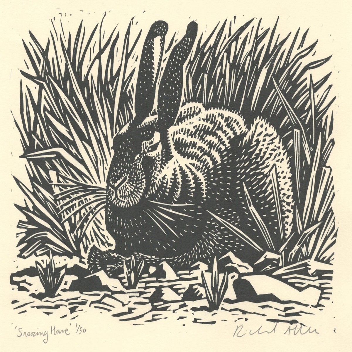 015 - Snoozing Hare