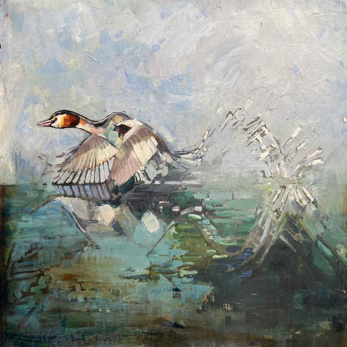 018 - Great Crested Grebe