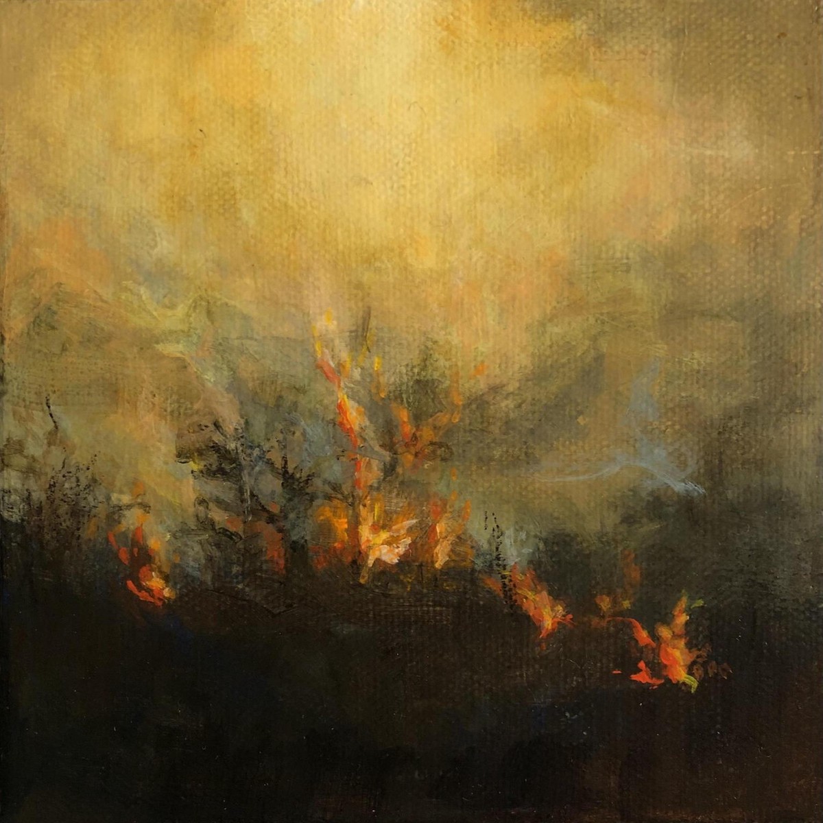 020 - Wildfires