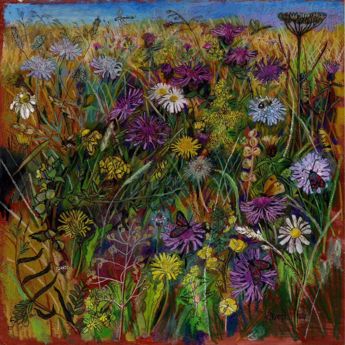 004 - Seeded meadow 10 years later