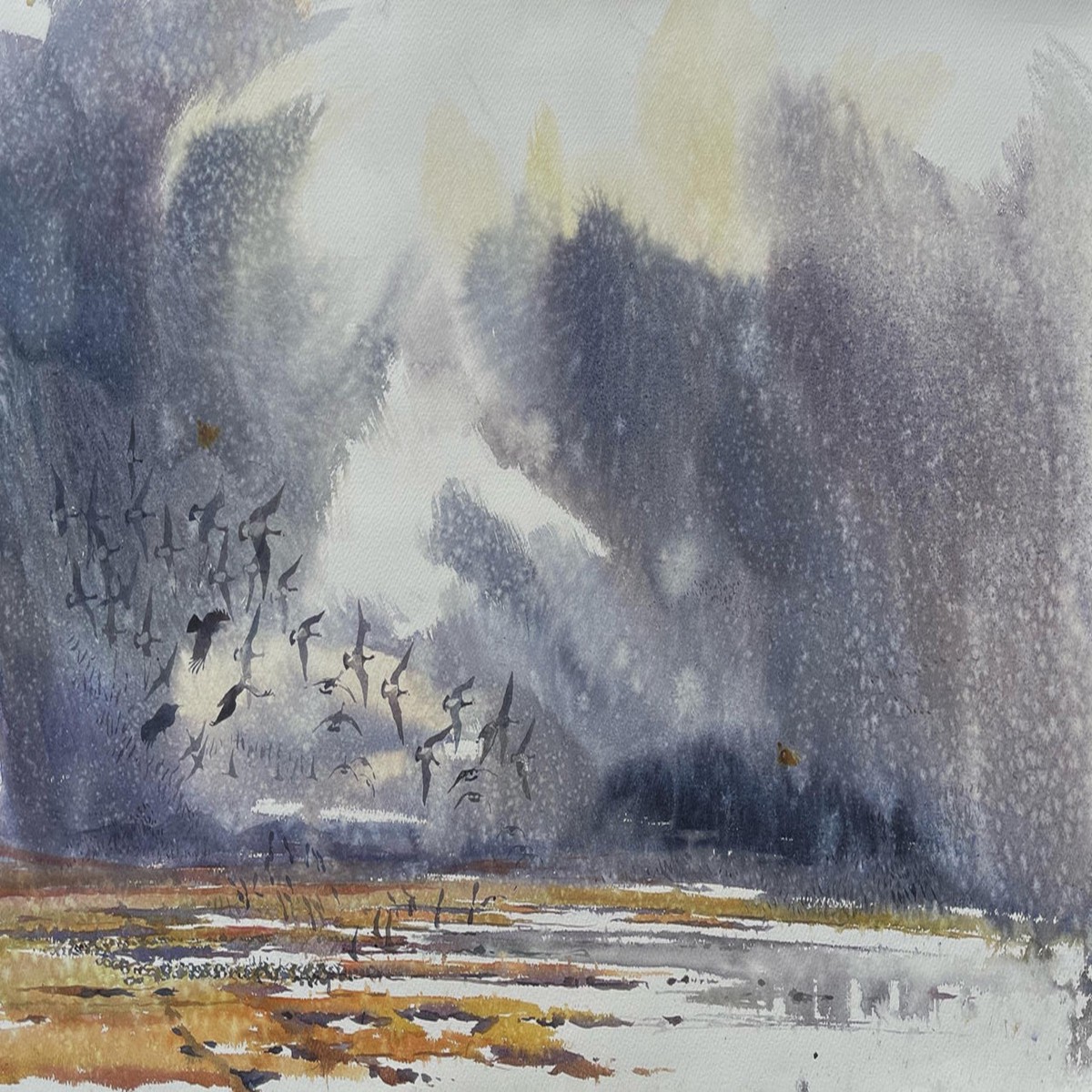 362 - November storm over Islay with Stoat footprints