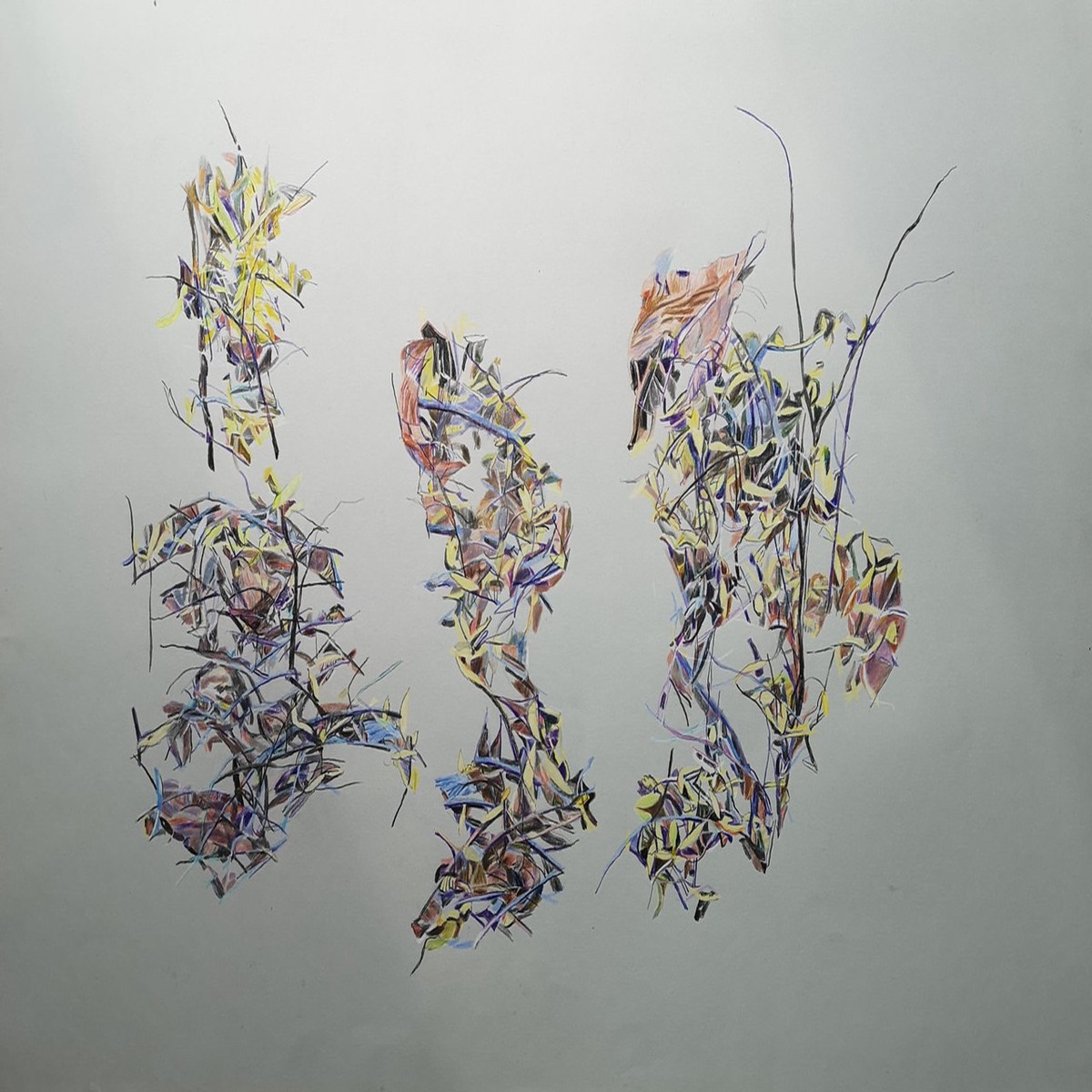 249 - Light Language
