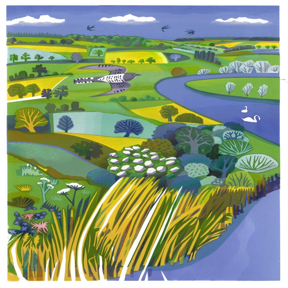 004 - Cuckoo river