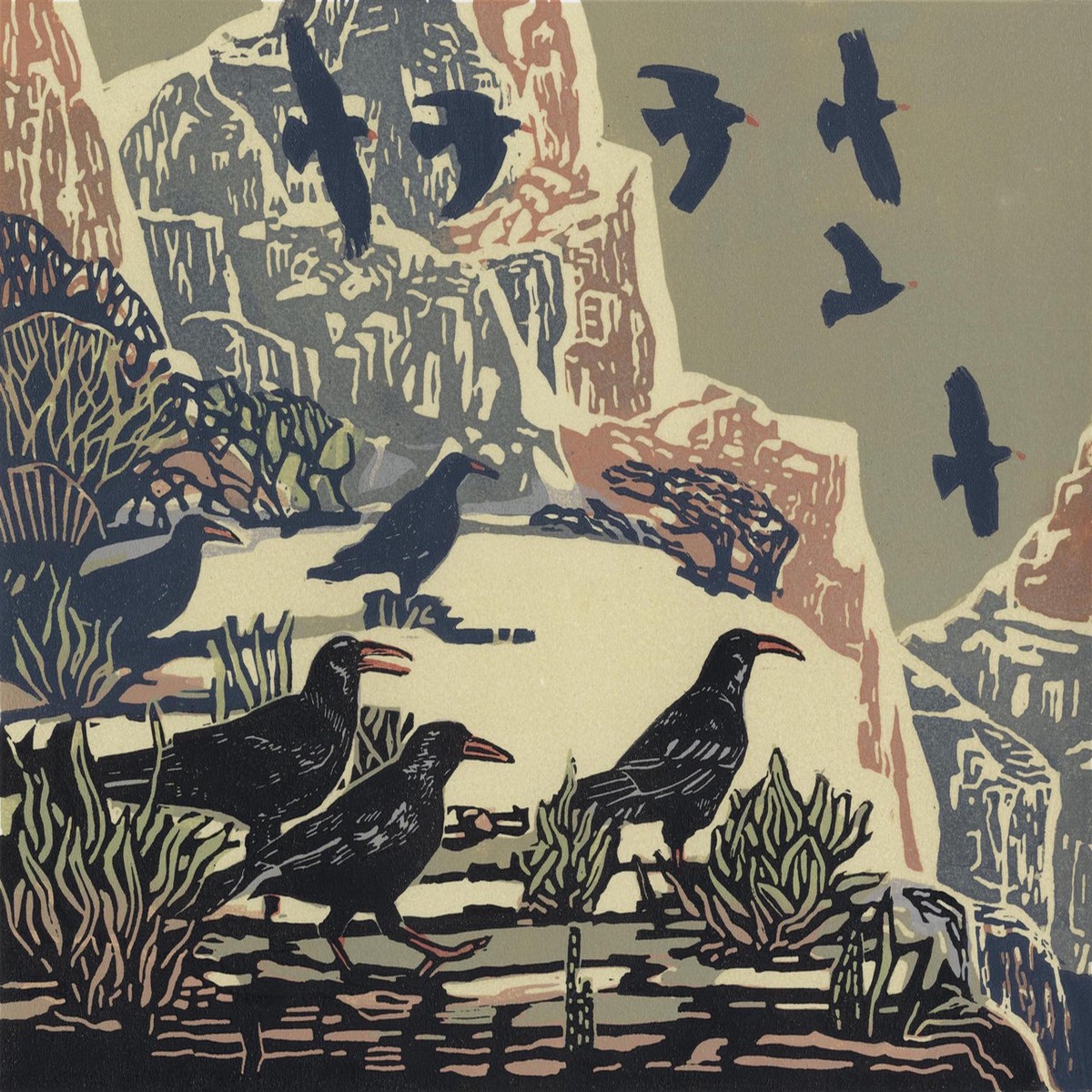 015 - Choughs First Dawn