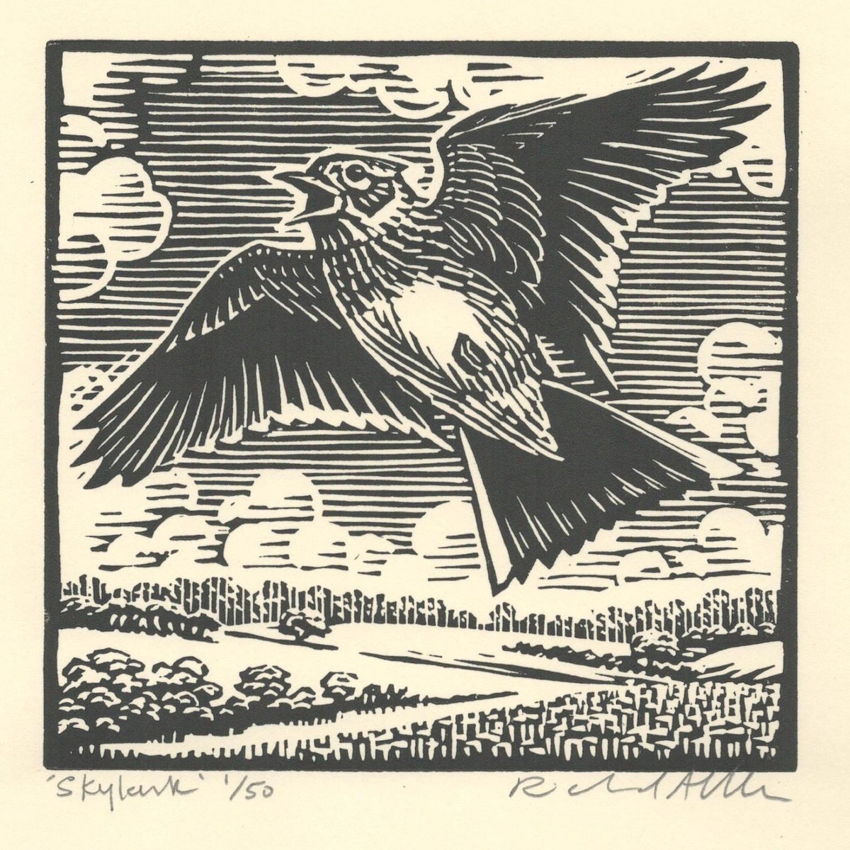 014 - Skylark