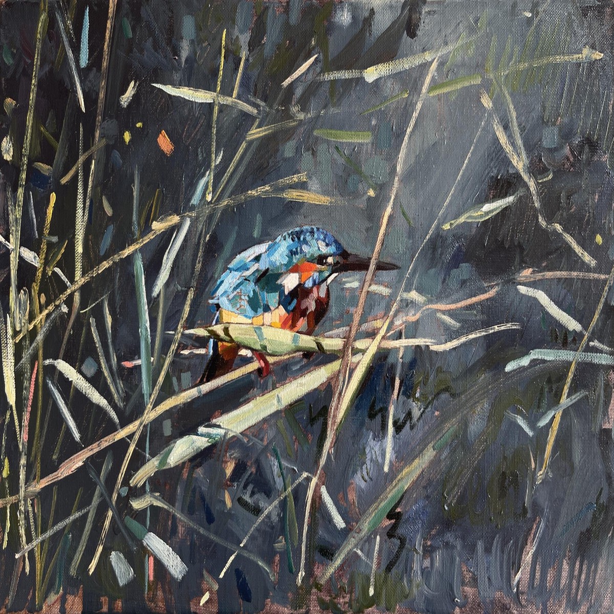 019 - Crouching Kingfisher