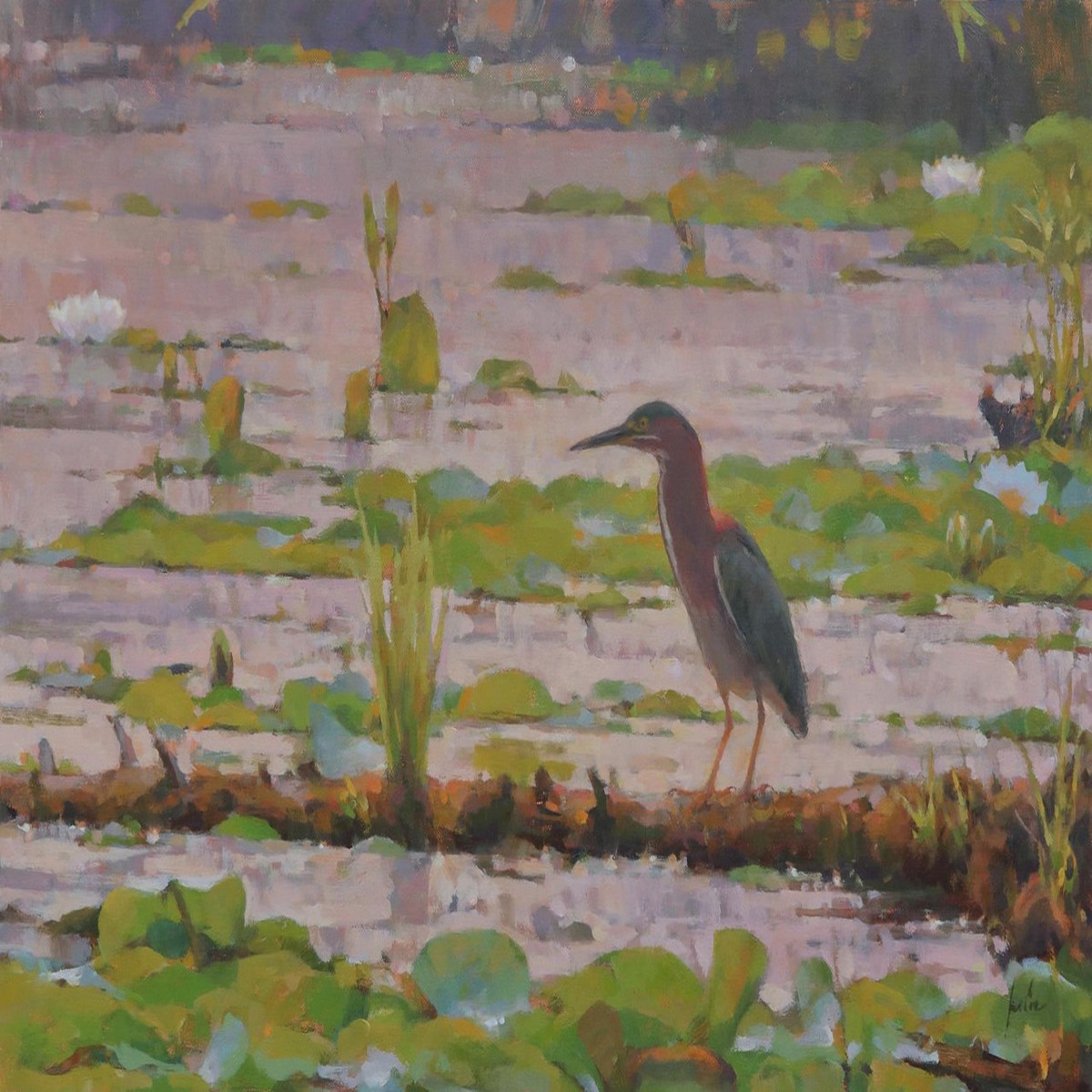 050 - Heron contre-jour